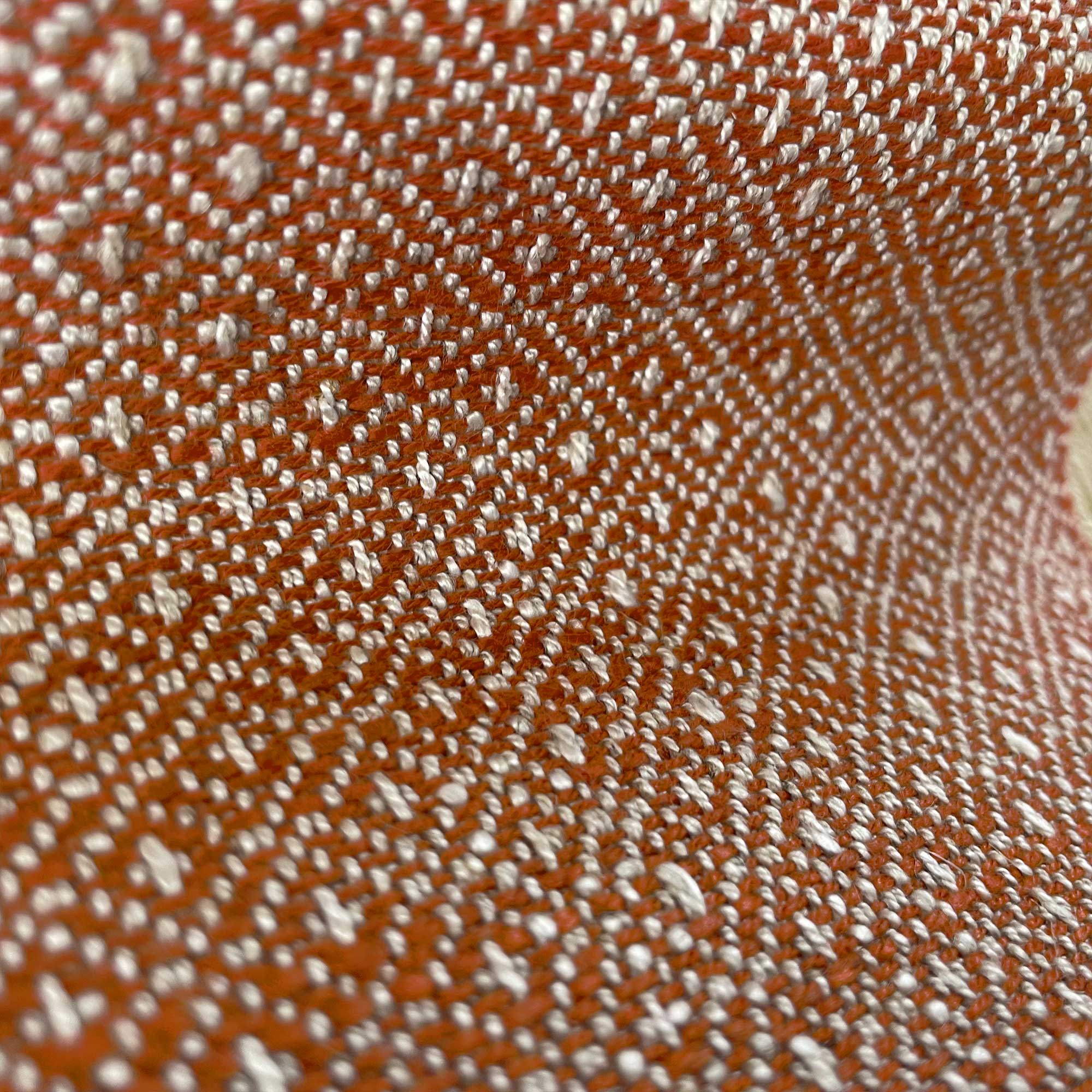 SEMILLA NARANJA - Image 2