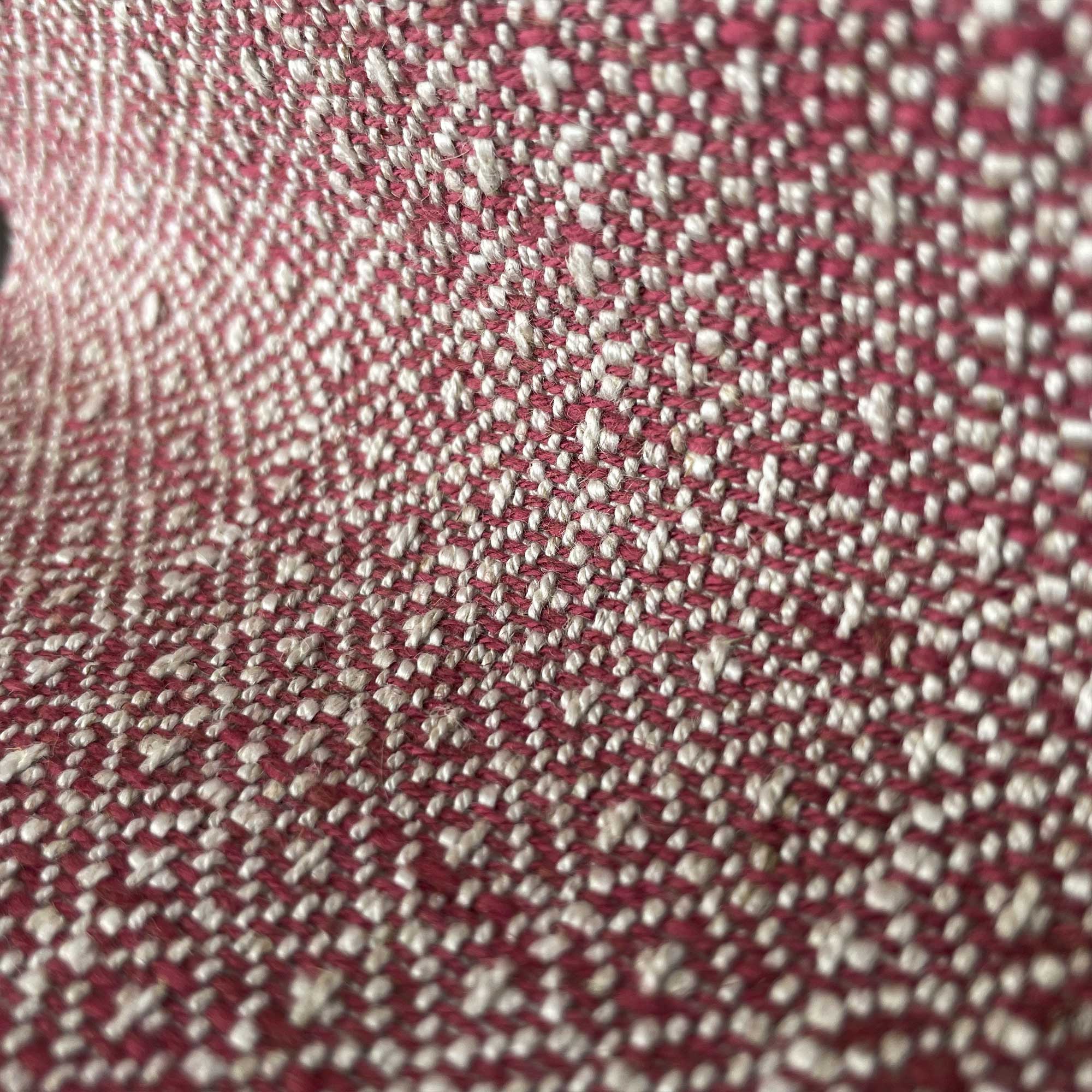 SEMILLA ROJO - Image 2