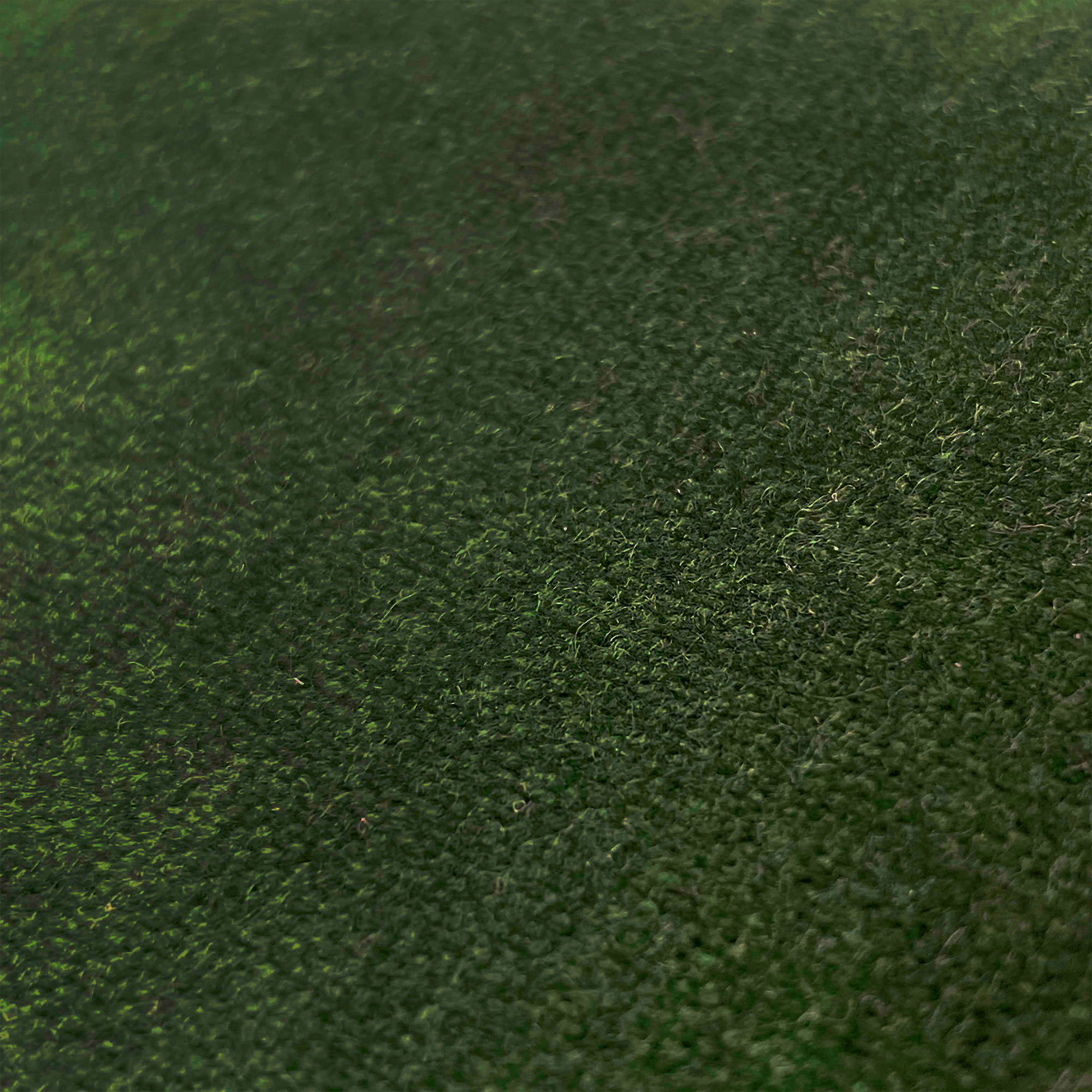 MERES VERDE - Imagen 2