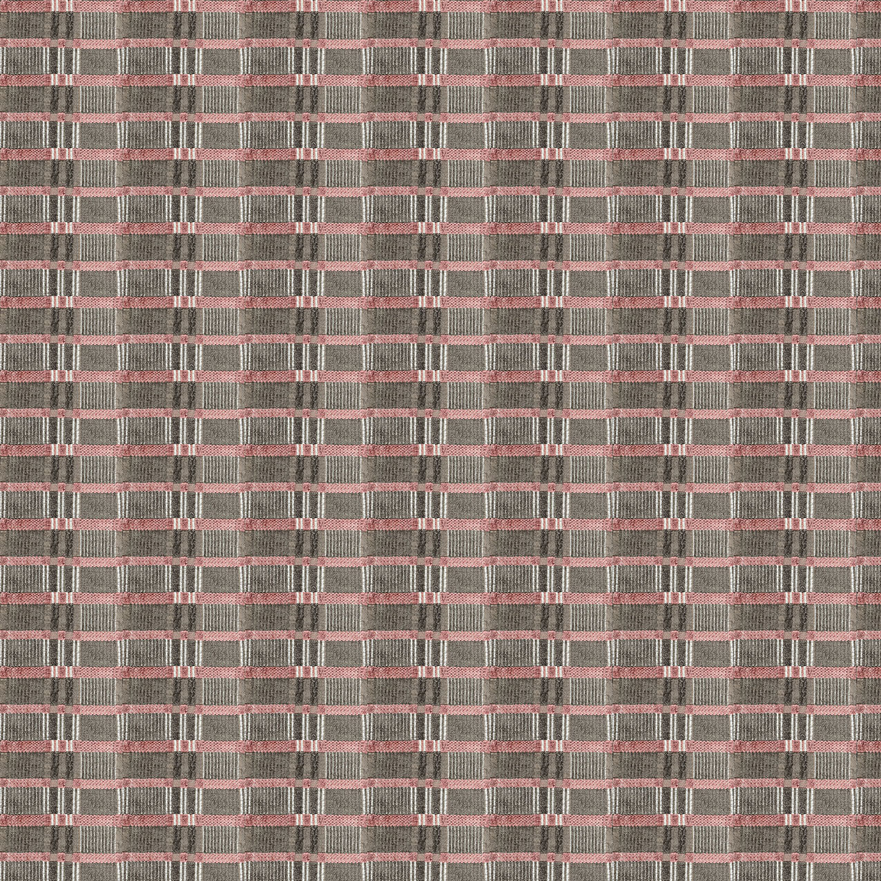 GALDANA ROSA/TOPO