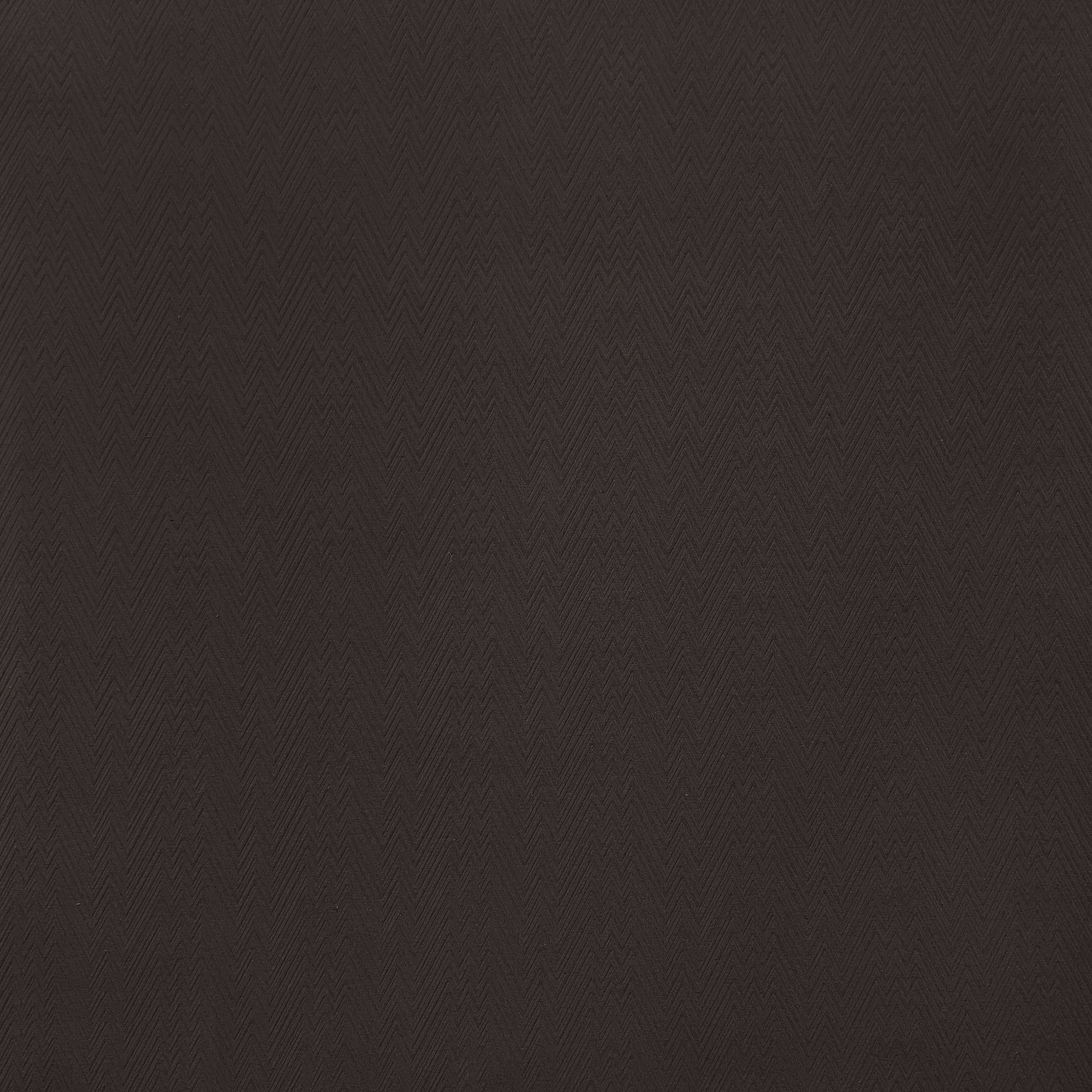 PUMARIEGA MARRON