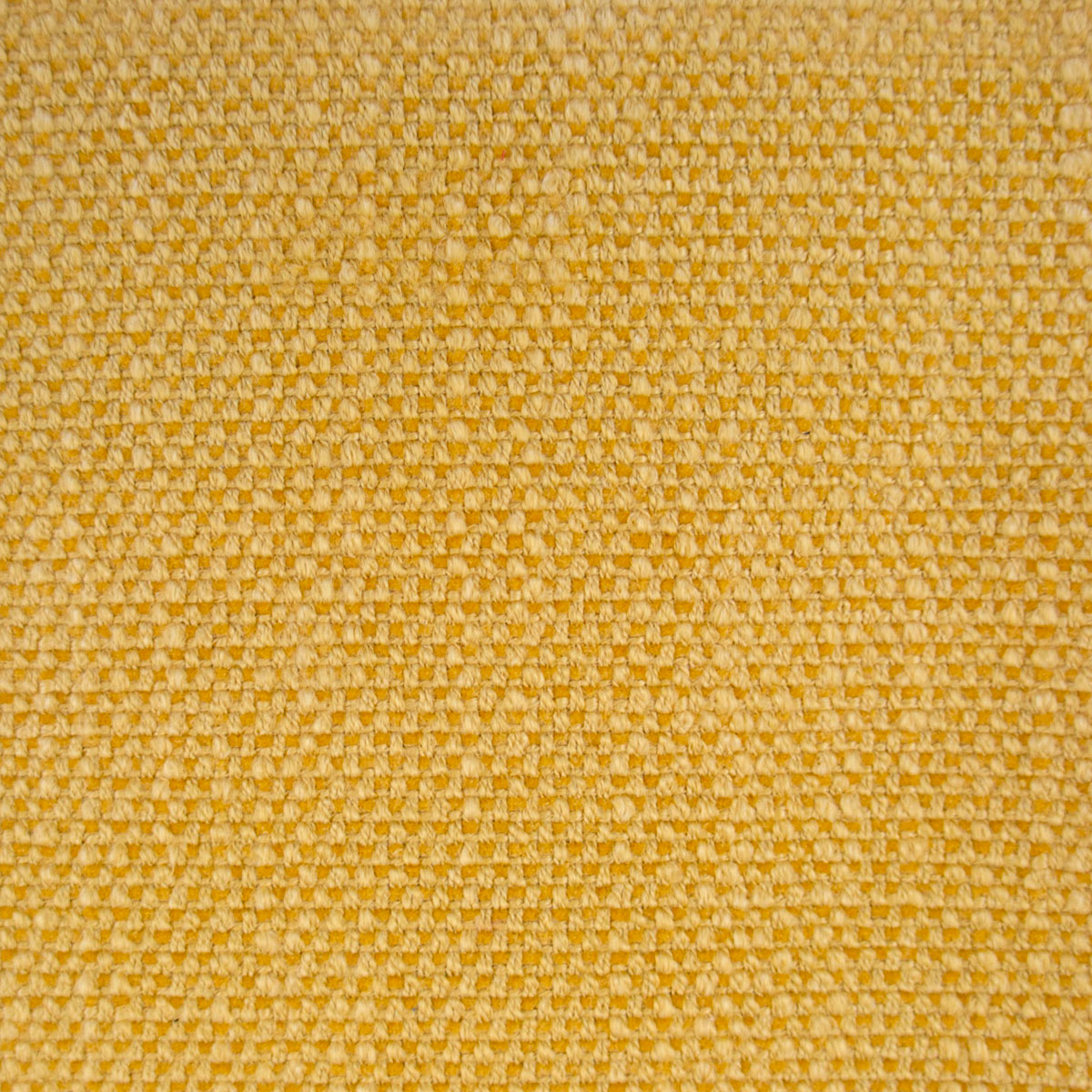 HUGO AMARILLO